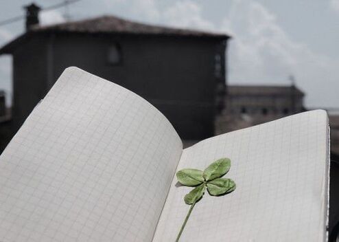 Four leaf clover - good luck charm