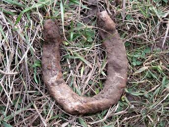 found horseshoe will serve to build an amulet