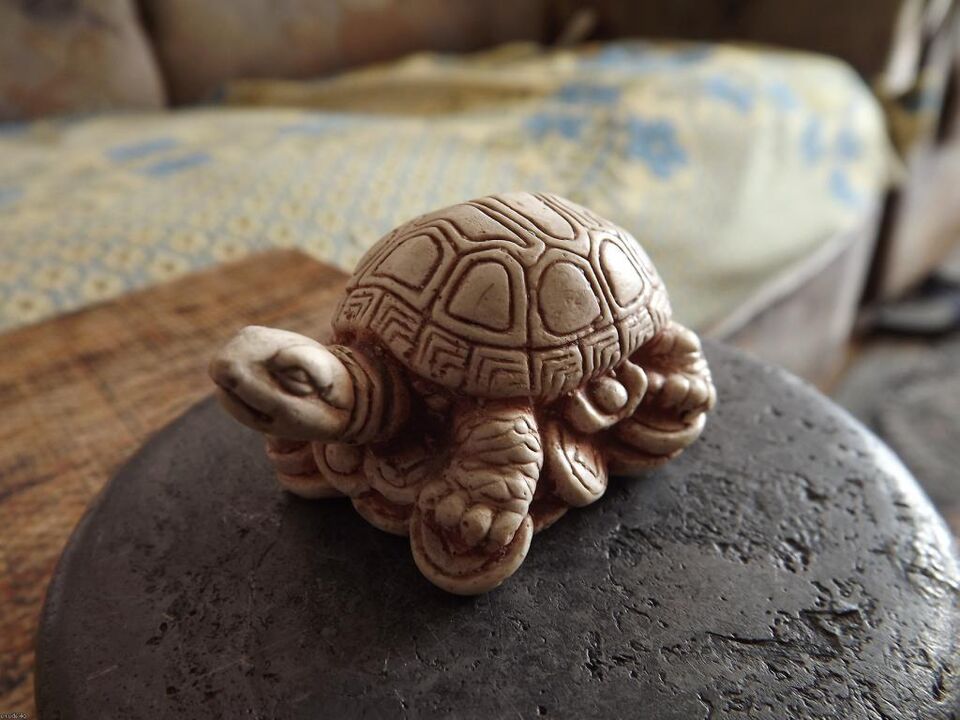turtle figurine as a good luck charm