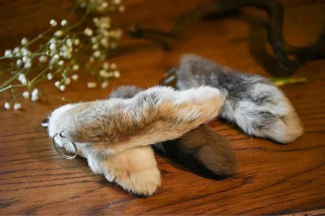 rabbit's foot for good luck